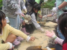 土壌づくりをする子どもたちの様子