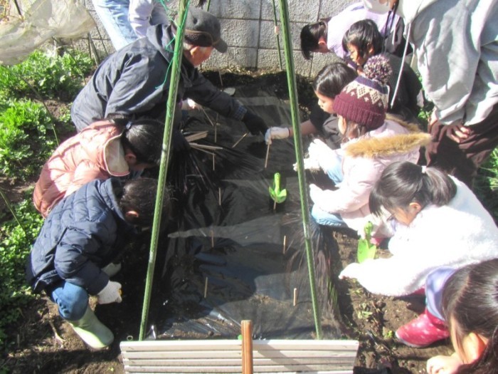 土壌づくりをする子どもたちの様子