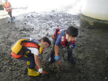 干潟で遊ぶ子どもたちの写真