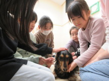 犬とのふれあい写真