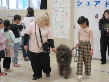 犬とのふれあい写真