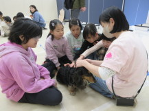 犬とのふれあい写真