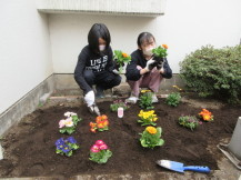 花を植えている写真