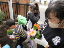 花を植えている写真