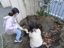 穴を掘る子どもの写真