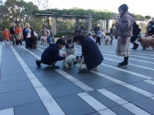 運動会の競技をしている写真