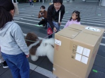 運動会の競技で飼い主を探している写真