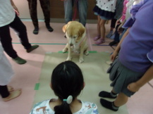 お座りの練習をしている写真