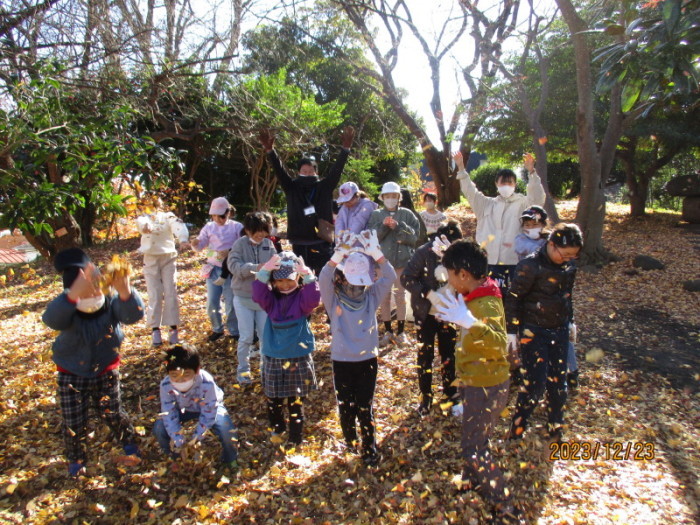 ウィンターキャンプの参加者が銀杏の葉っぱのシャワーをしている写真