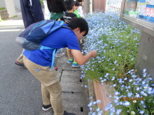 押し花にする花を選んでいるクラブ員の写真1