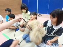 犬を撫でている子どもたちの写真4