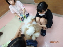 犬を撫でている子どもたちの写真3