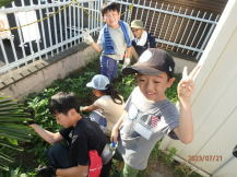 ラッカセイの周りの雑草をとっている子どもたちの写真2