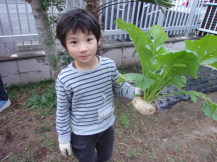 収穫したカブとクラブ員の写真