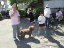 ペアの犬と散歩の練習をしている子どもたちの写真2