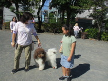 ペアの犬と散歩の練習をしている子どもたちの写真3