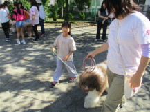 ペアの犬と散歩の練習をしている子どもたちの写真5