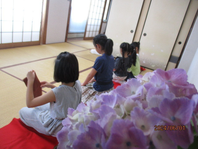 あじさいからの茶道風景