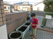 プランタに植物の種を植える子どもたちの写真