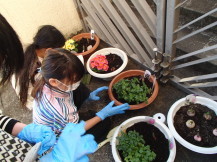 子どもたちがお花を植えている写真