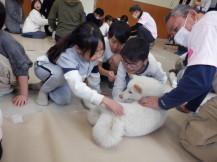 シェアドッグスクール体験会