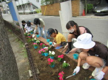 花壇に花を植えている様子の写真