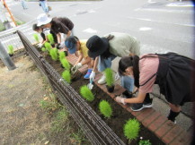 花壇に花を植えている様子の写真