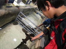 新江ノ島水族館に行ってみようの写真