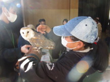 移動動物園の写真