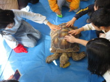 移動動物園の写真