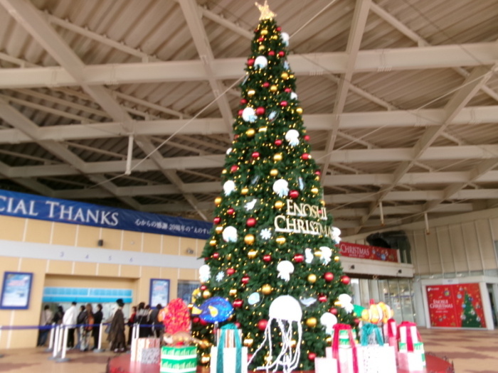 新江ノ島水族館入口付近のクリスマスツリーの写真