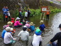 川の中で紙芝居による説明を受ける参加者たち
