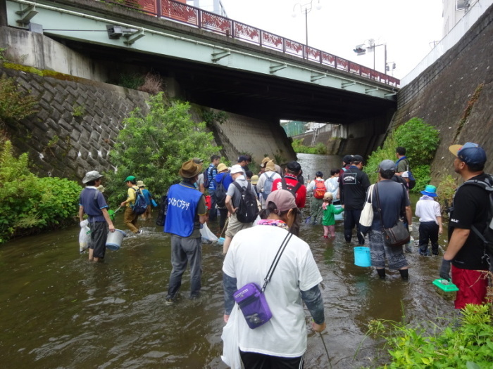 三沢川を歩く参加者たちの写真