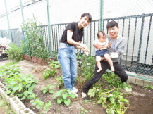 野菜を育てよう！の写真