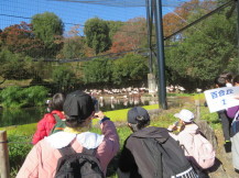 多摩動物公園遠足