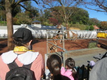 多摩動物公園遠足