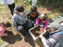 種にかける土の量を教わる子どもたち