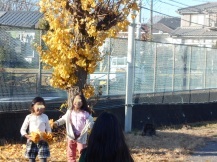 銀杏の落ち葉を使ってオリジナルダンスづくりの相談をする子どもたちの写真