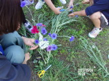 花を摘んでいる手元の写真