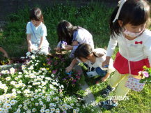 花を摘んでいる子どもたちの写真