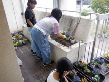 大師こども文化センター前の花壇にビオラを植える小学生児童の写真