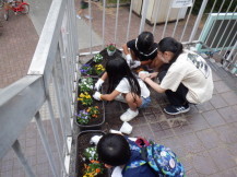 小学生が鉢植えにビオラの花を植える小学生とそれをサポートする成人スタッフの写真